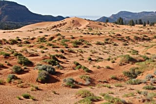 Coral Pink Sand Dunes