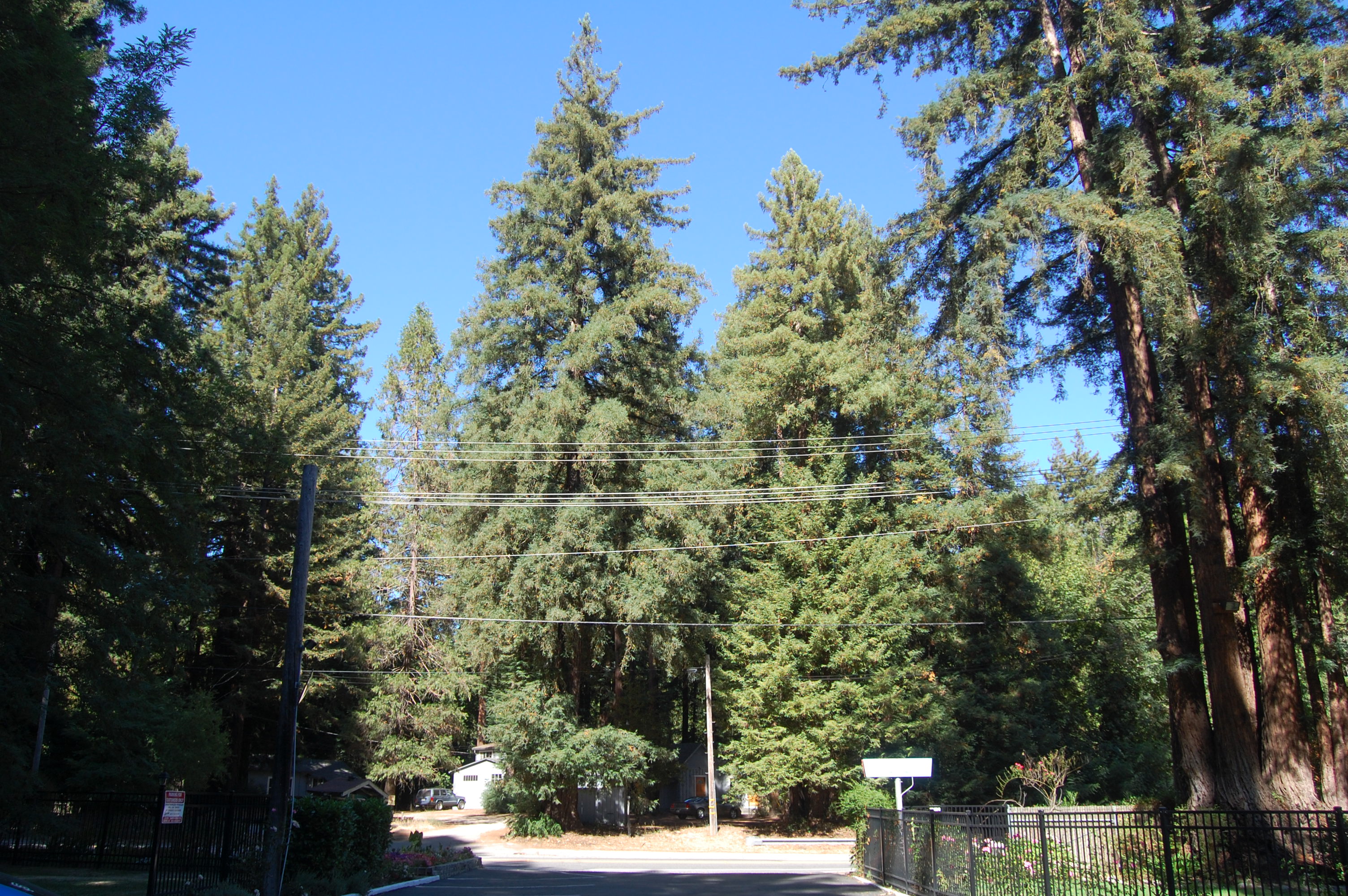 Ben Lomond, CA
