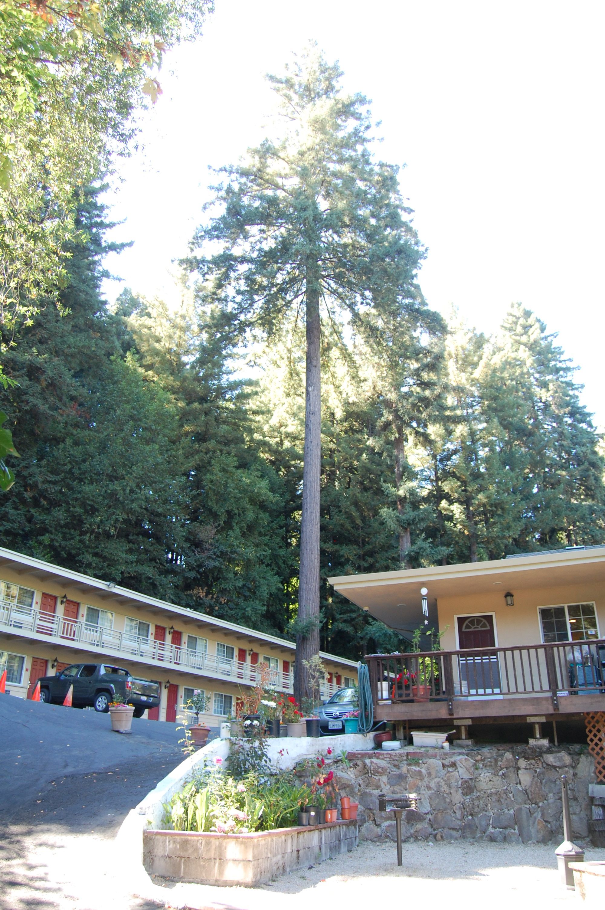 Ben Lomond, CA