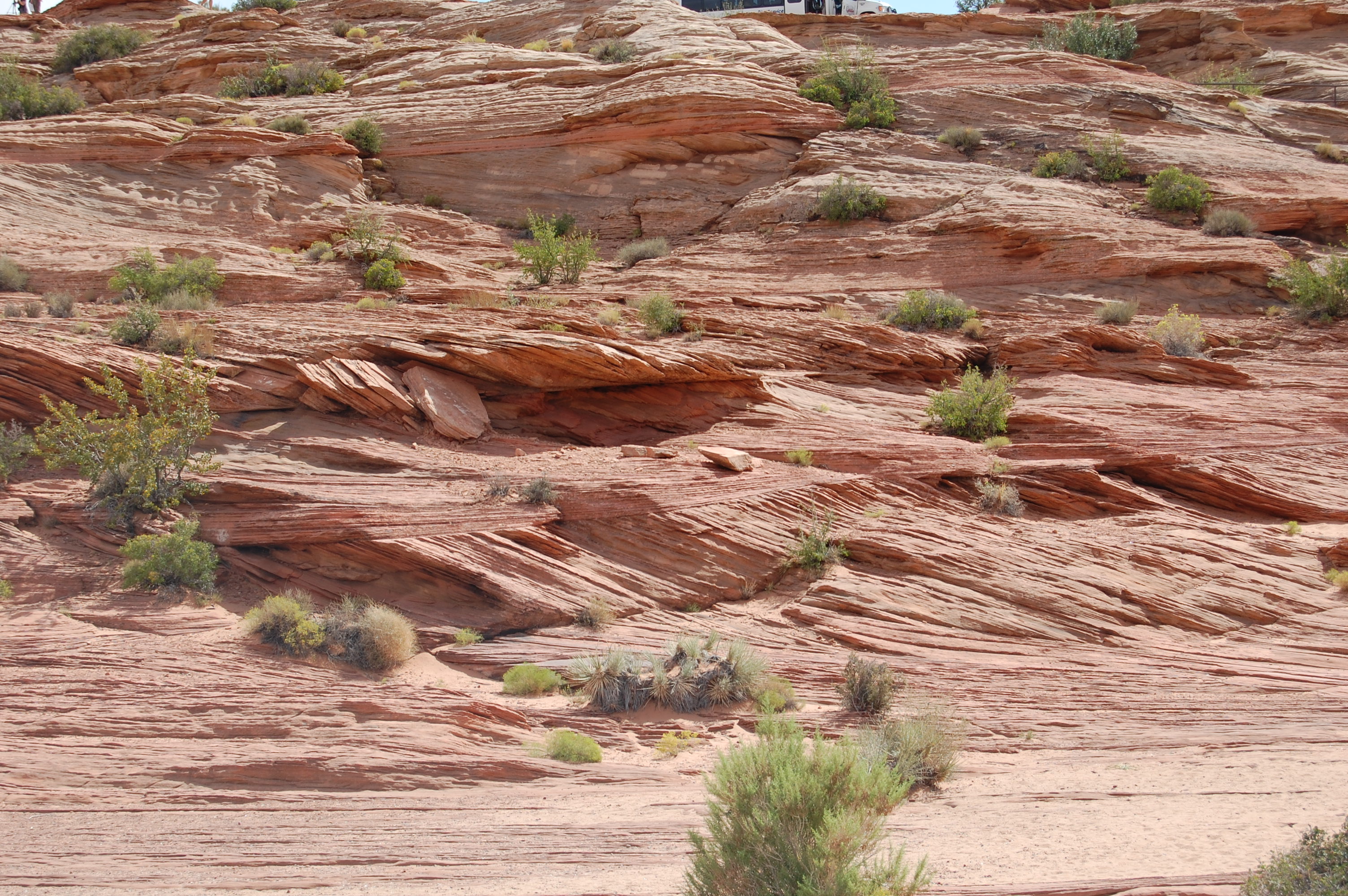 Page, AZ