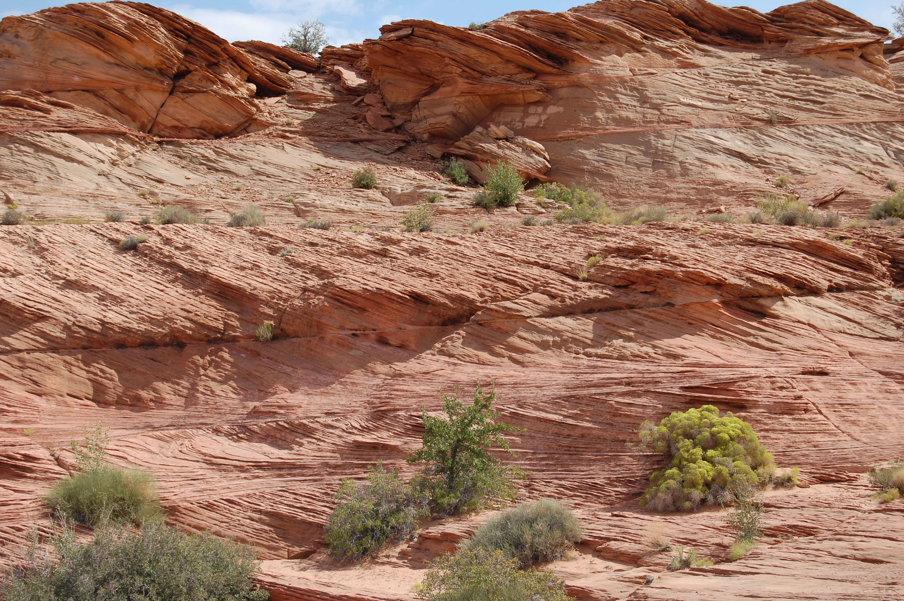 Page, AZ