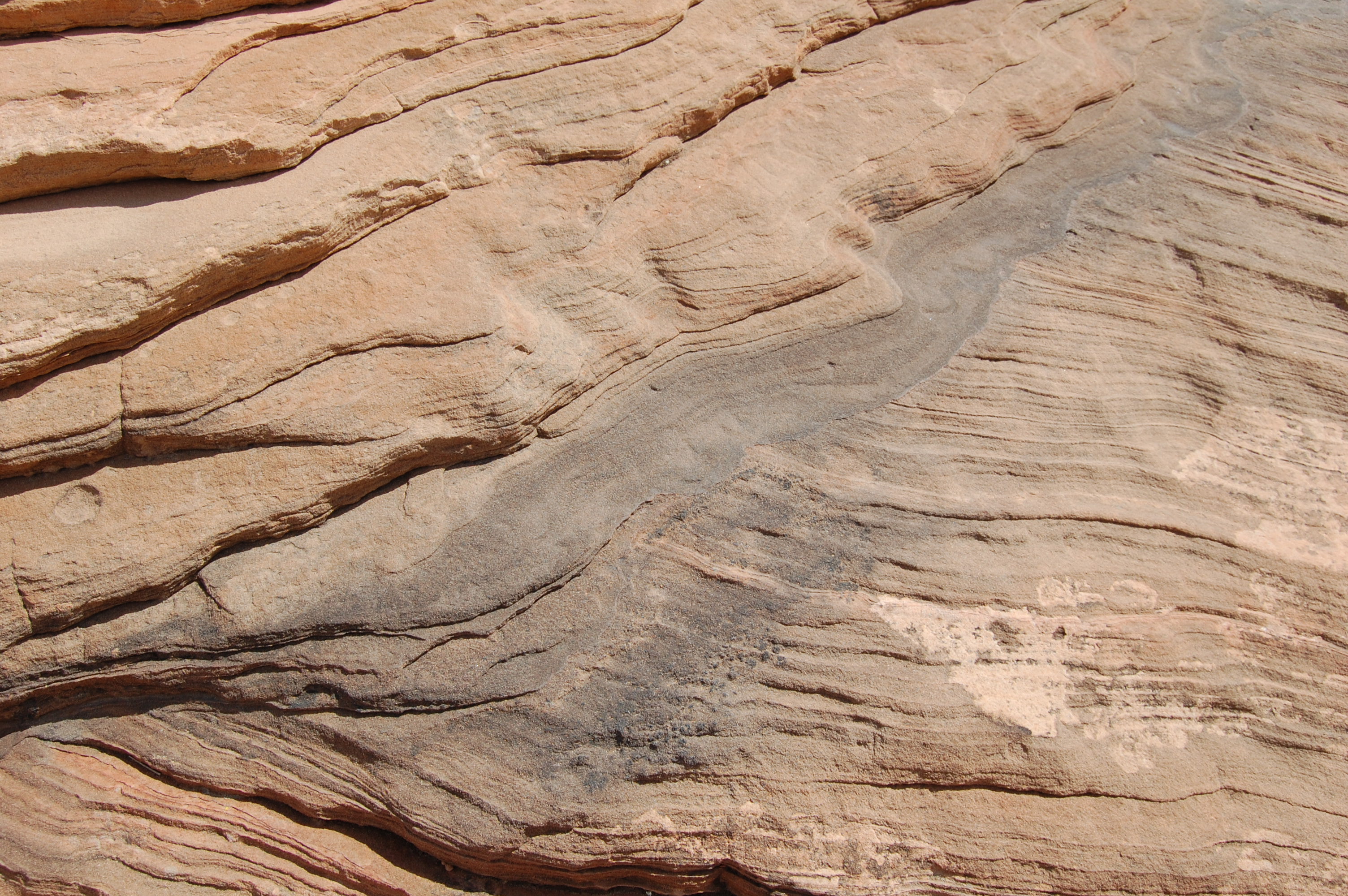Page, AZ