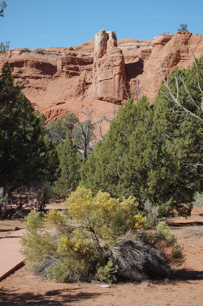 Kodachrome Basin State Park, UT