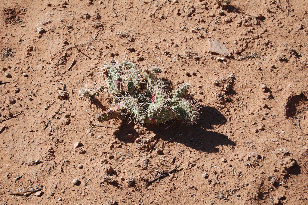 Kodachrome Basin State Park, UT