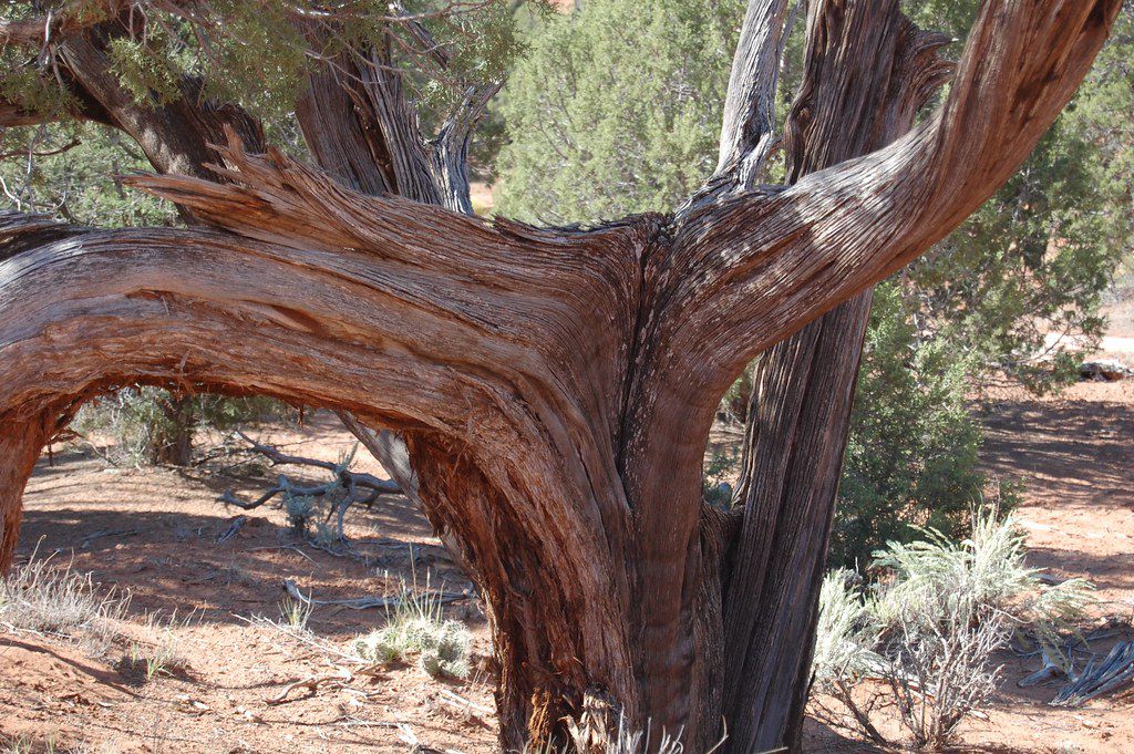 Kodachrome Basin State Park, UT