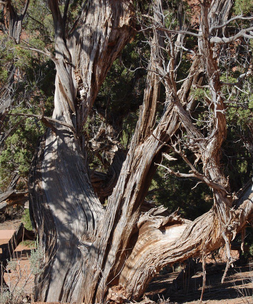 Kodachrome Basin State Park, UT