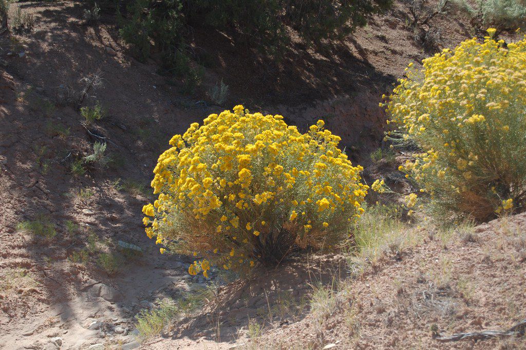 Kodachrome Basin State Park, UT