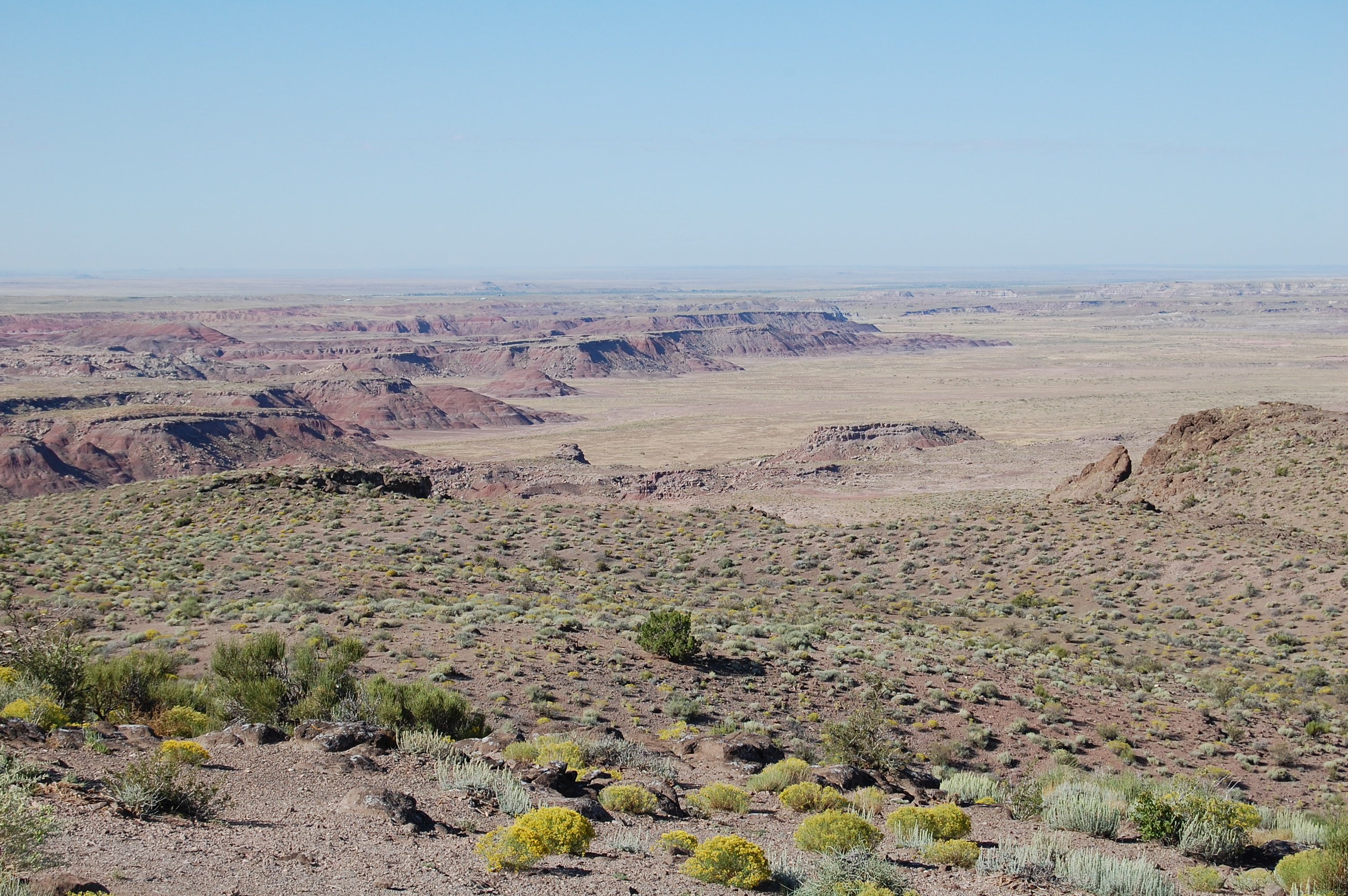 Painted Desert, Arizona