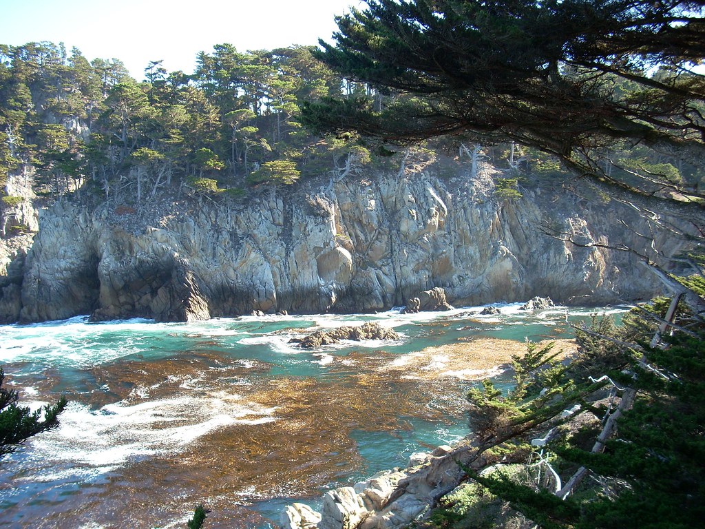 Point Lobos, CA