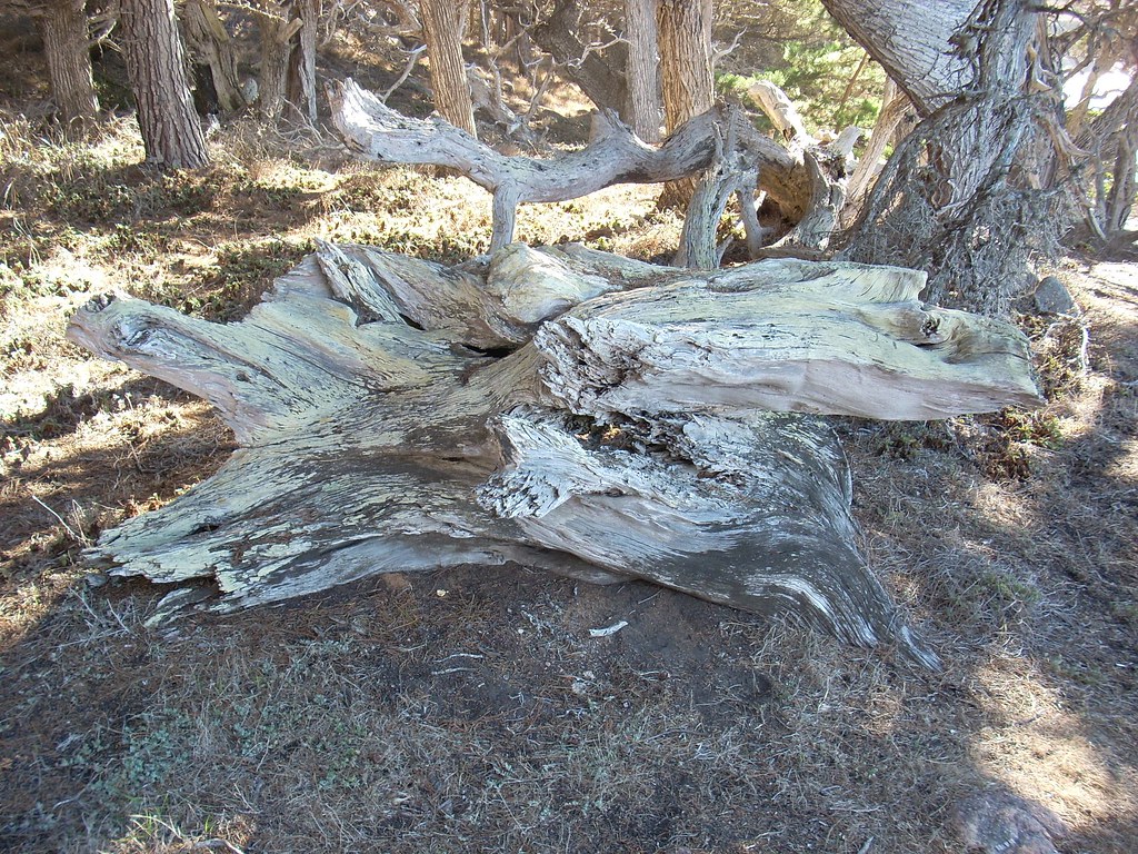 Point Lobos, CA