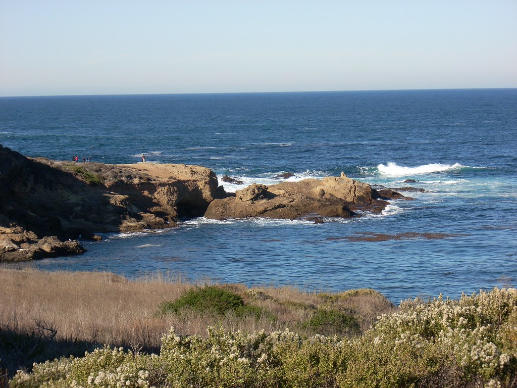 Point Lobos, CA