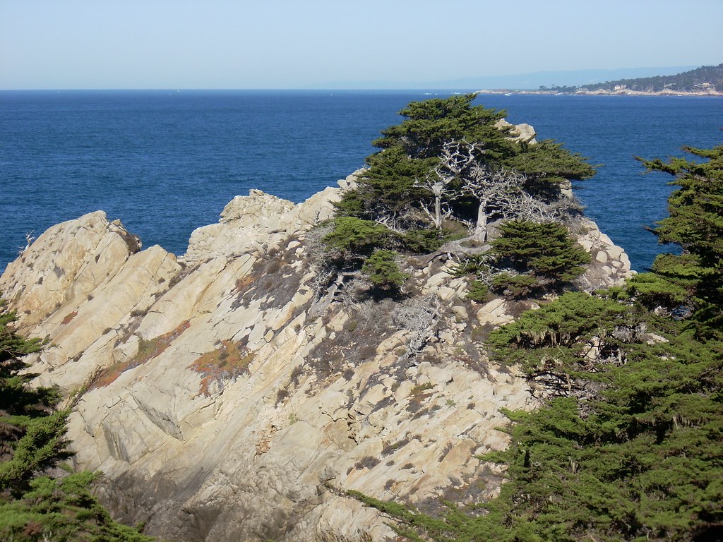 Point Lobos, CA
