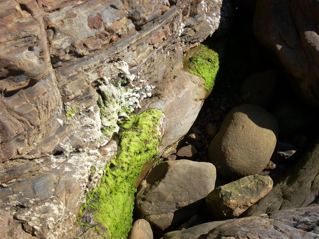 Point Lobos, CA