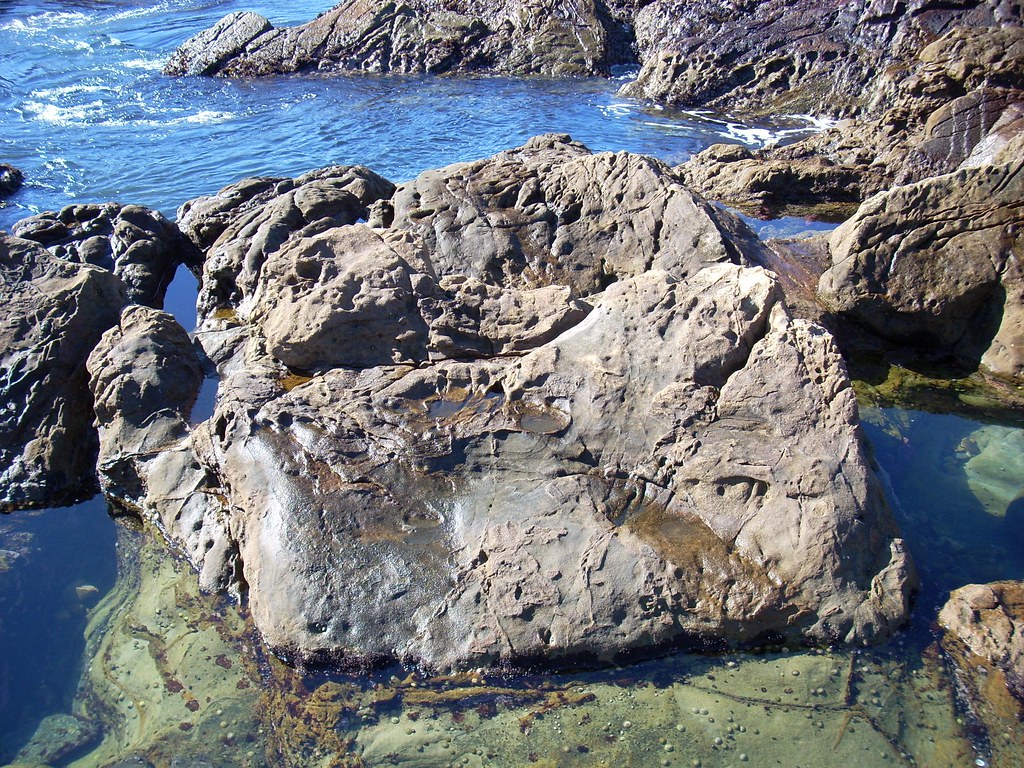 Point Lobos, CA