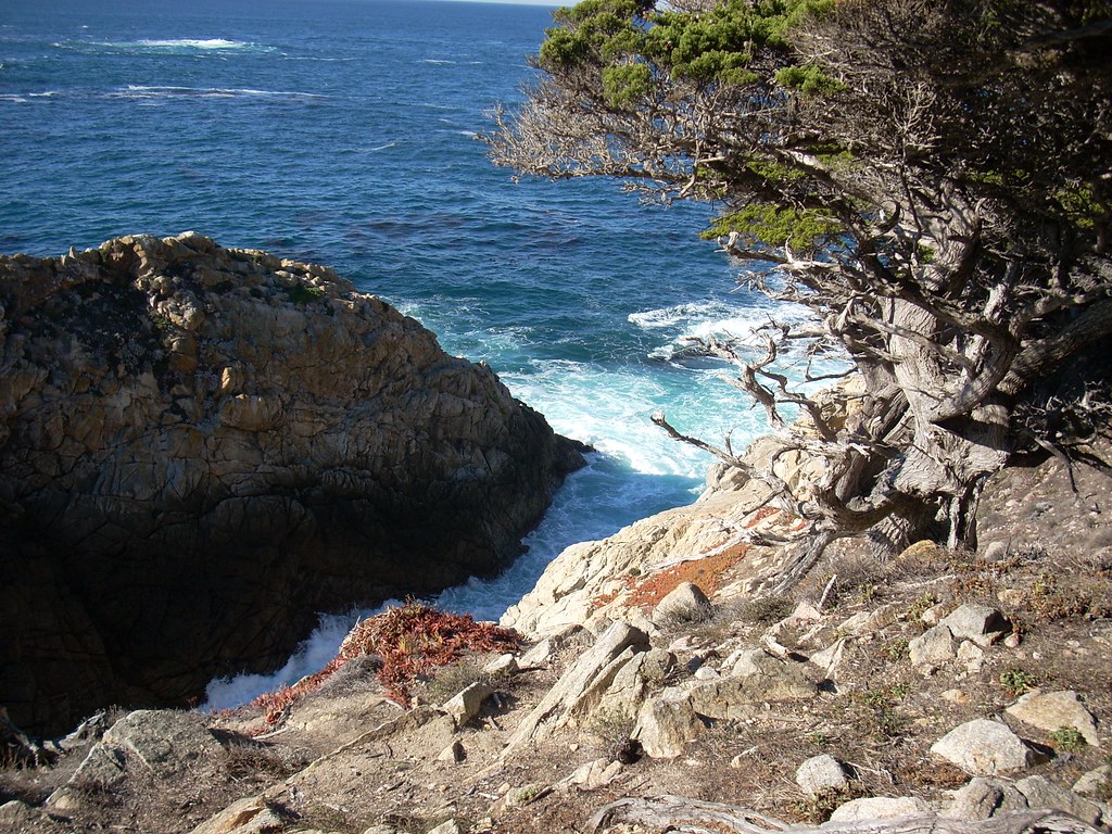 Point Lobos, CA