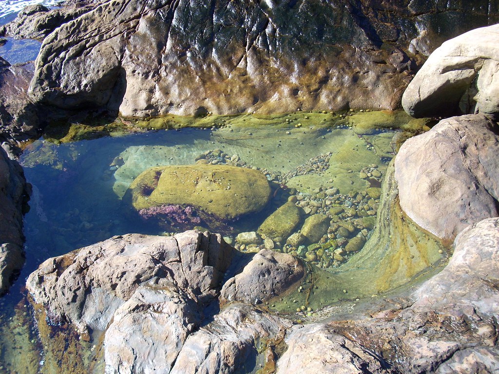 Point Lobos, CA