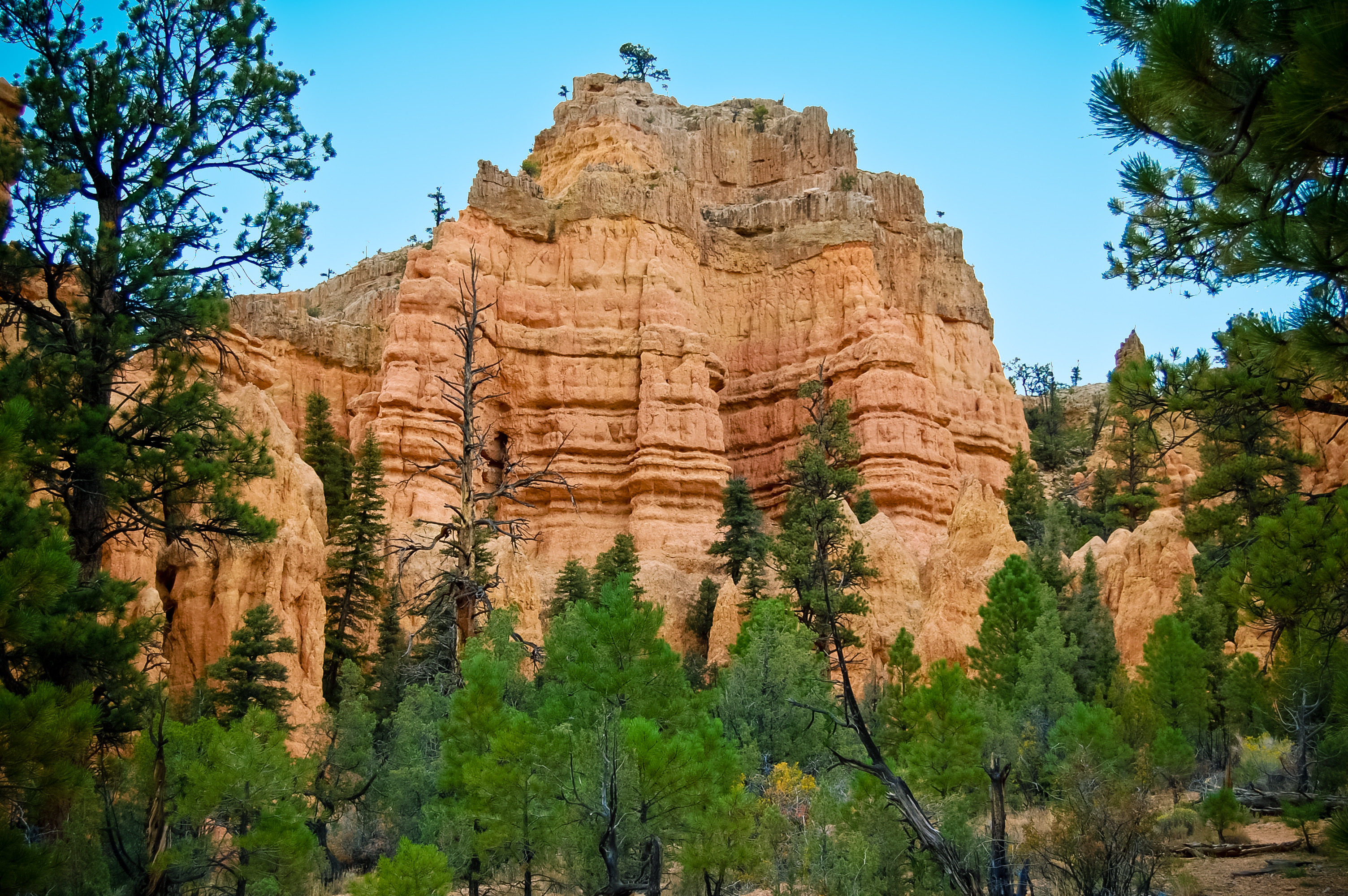 Red Canyon, UT