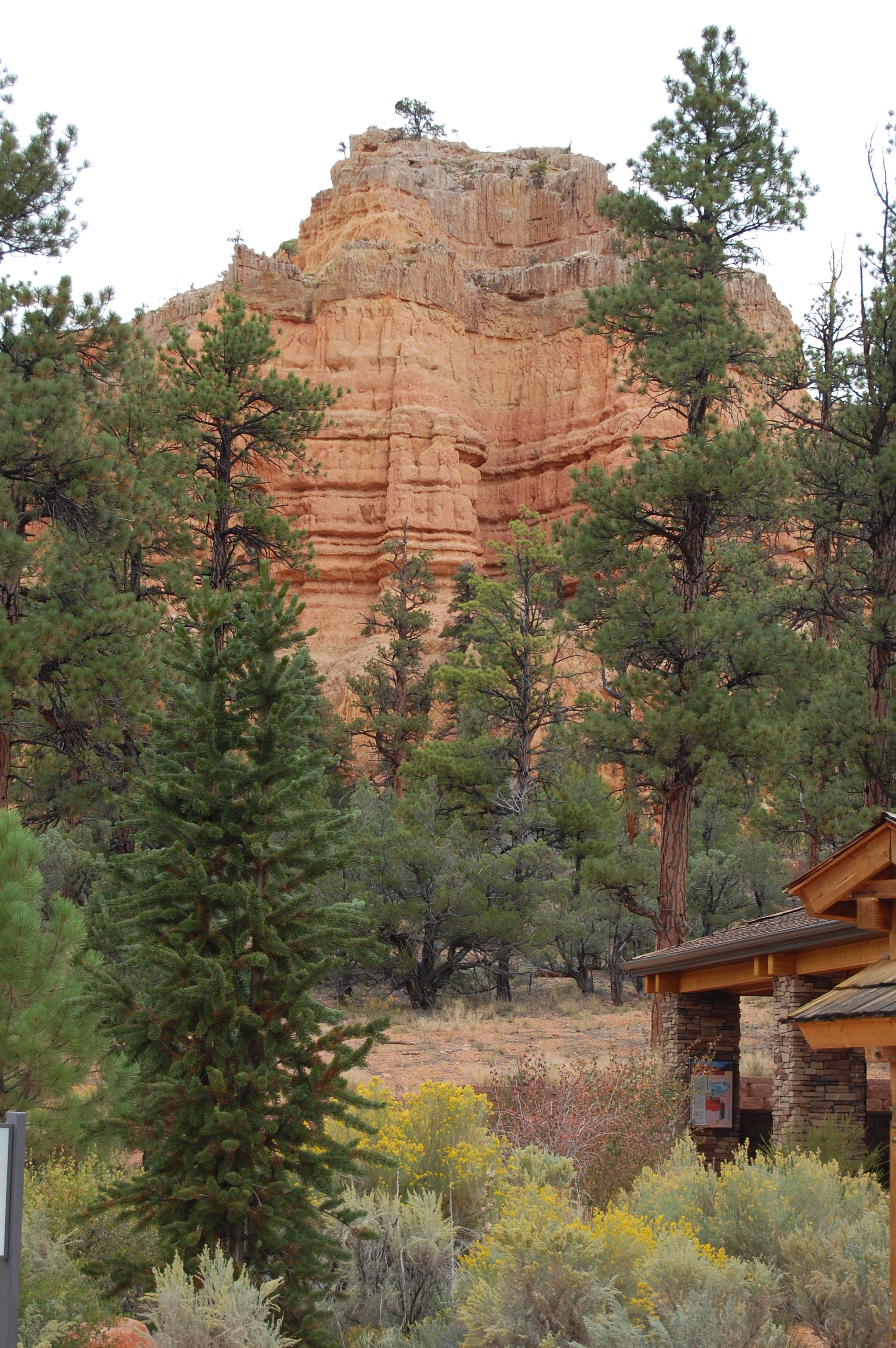 Red Canyon, UT