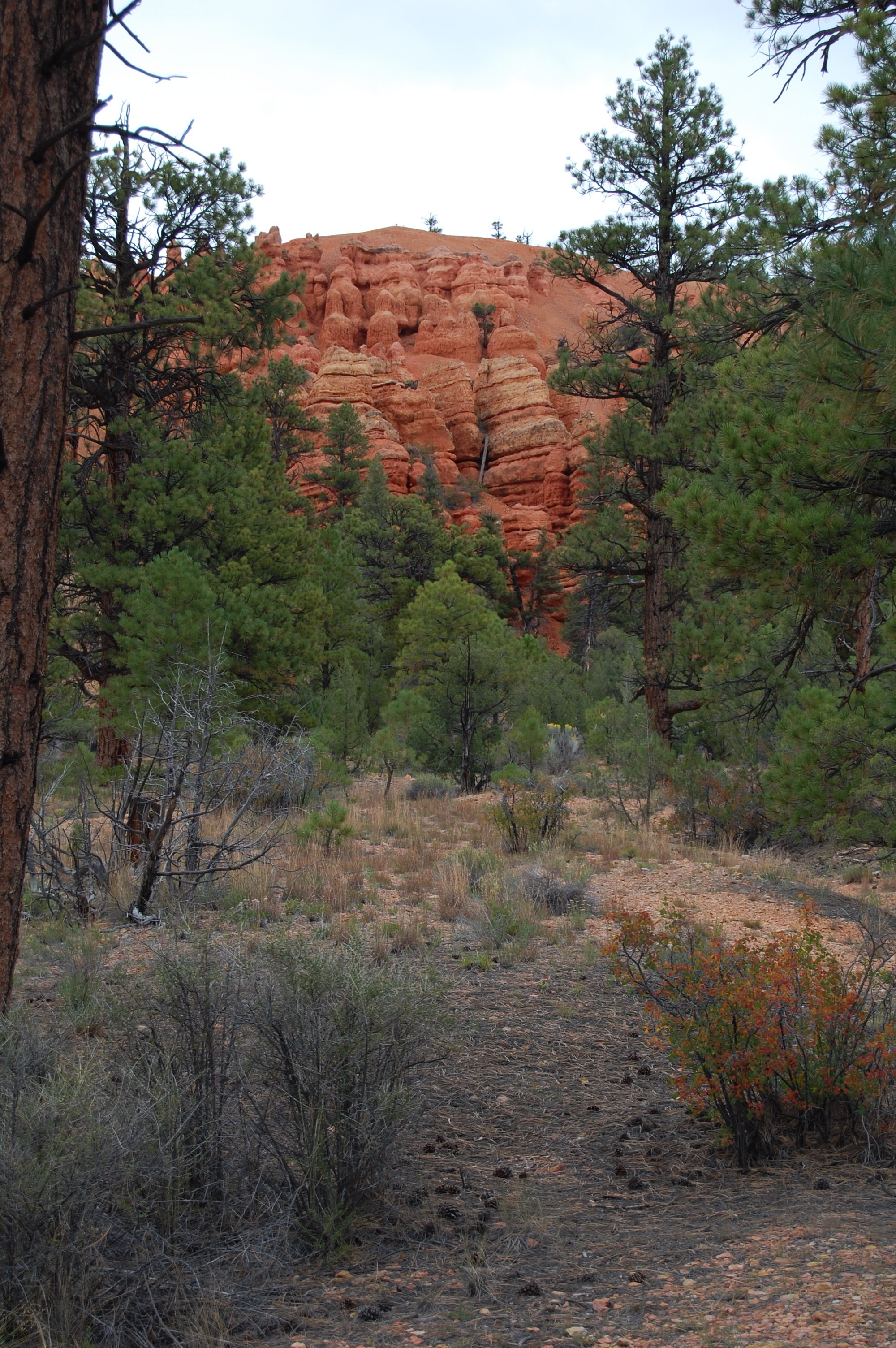 Red Canyon, UT