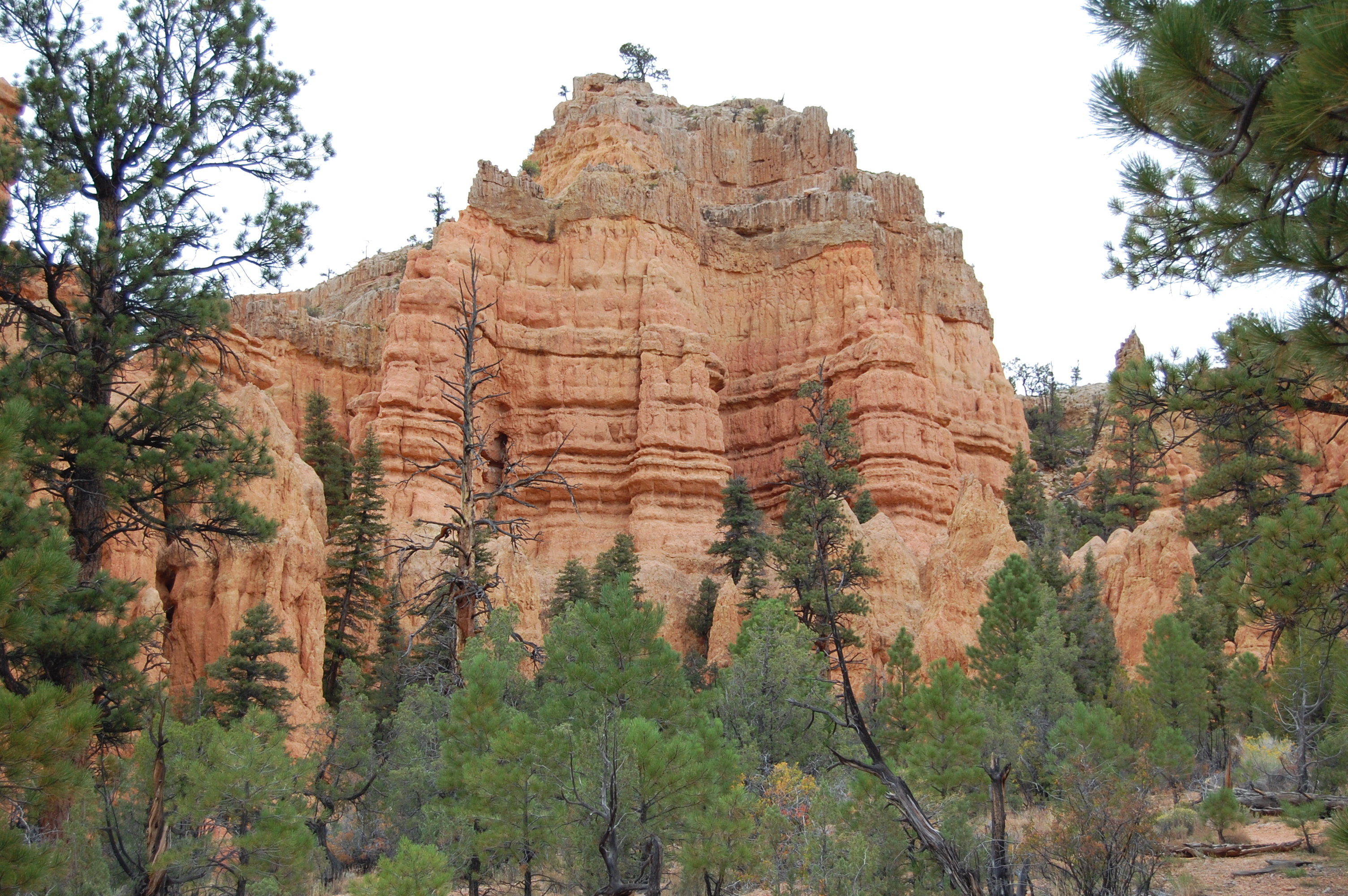Red Canyon, UT