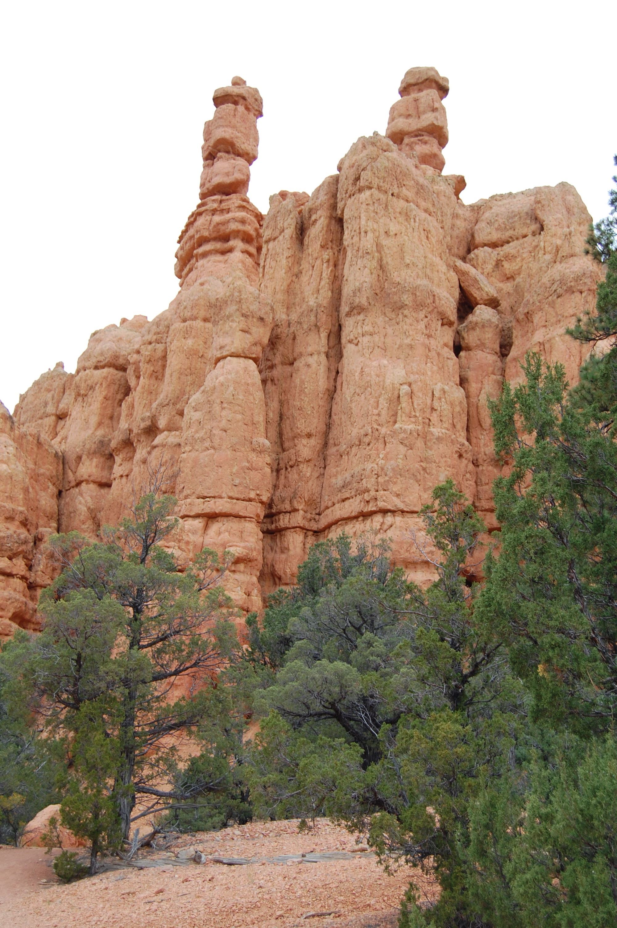 Red Canyon, UT
