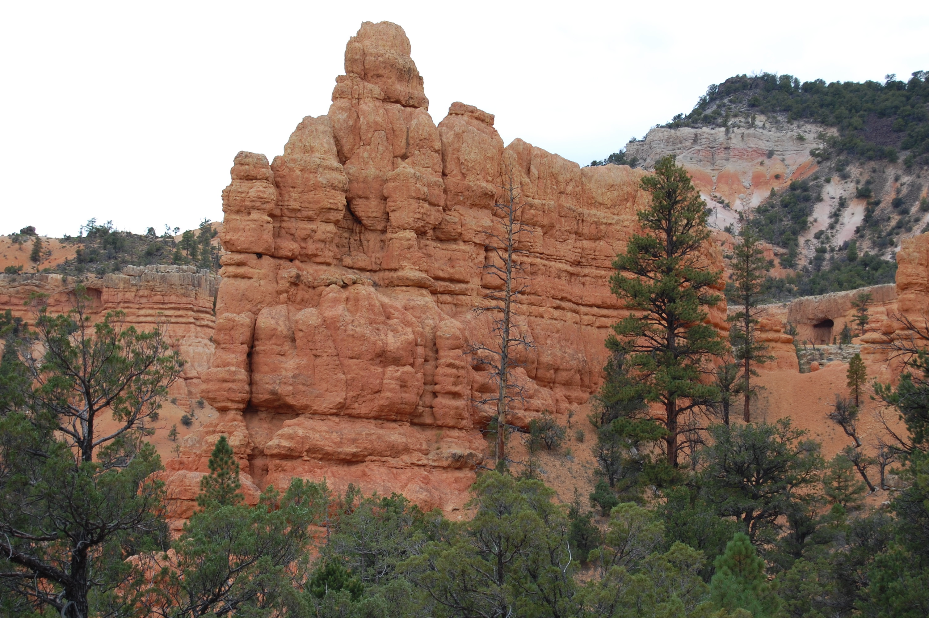 Red Canyon, UT