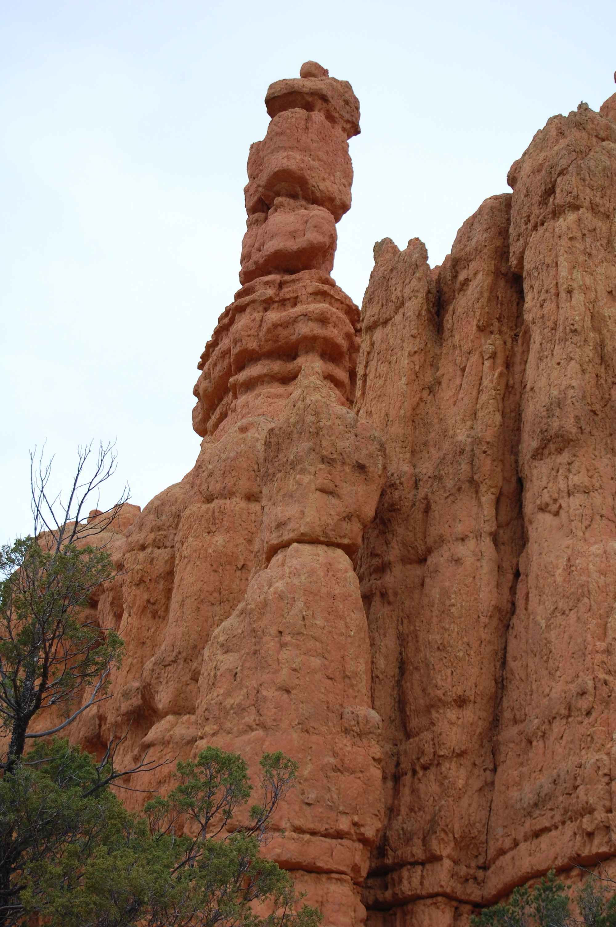 Red Canyon, UT