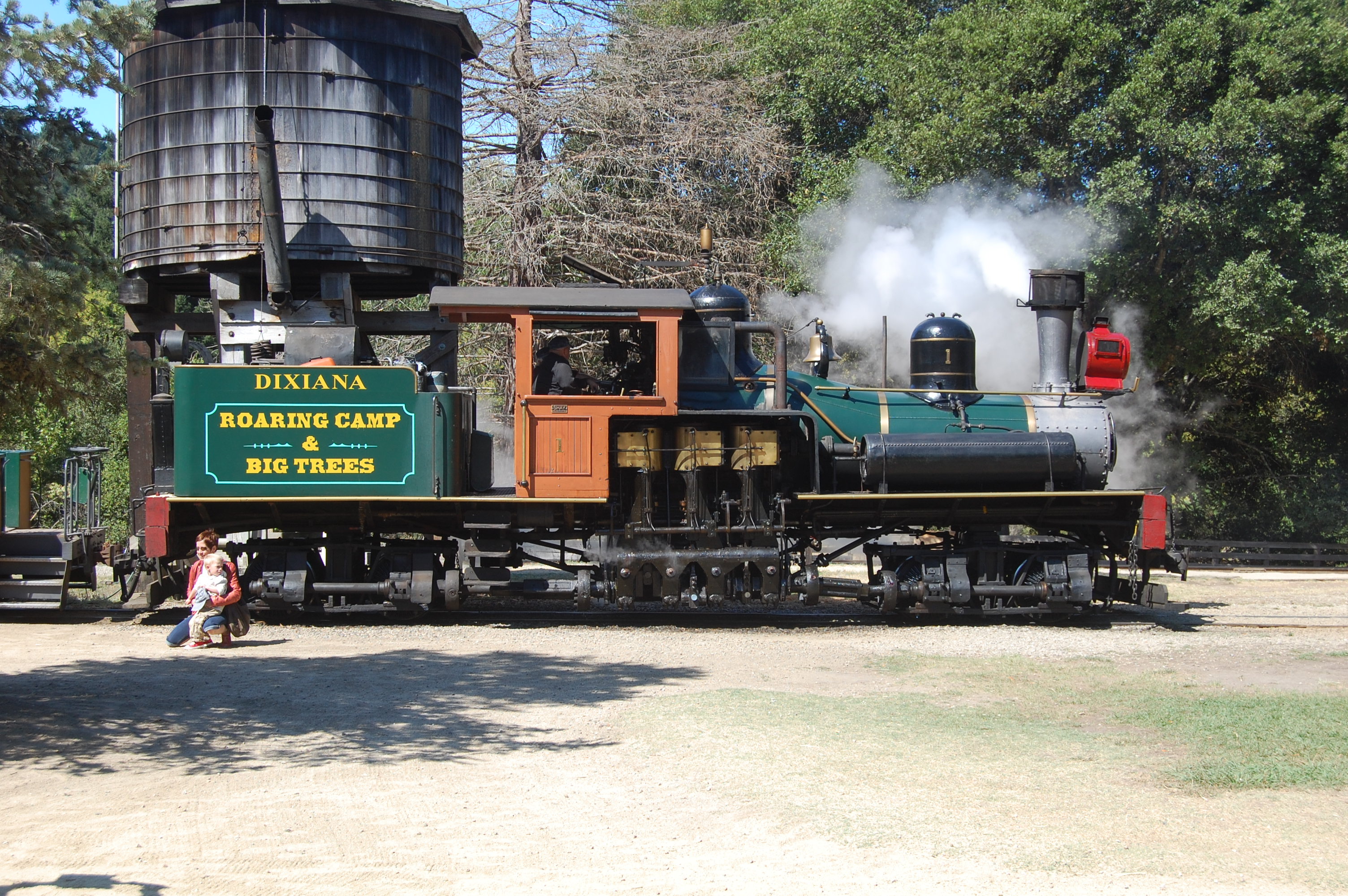 Roaring Camp Railroad, CA