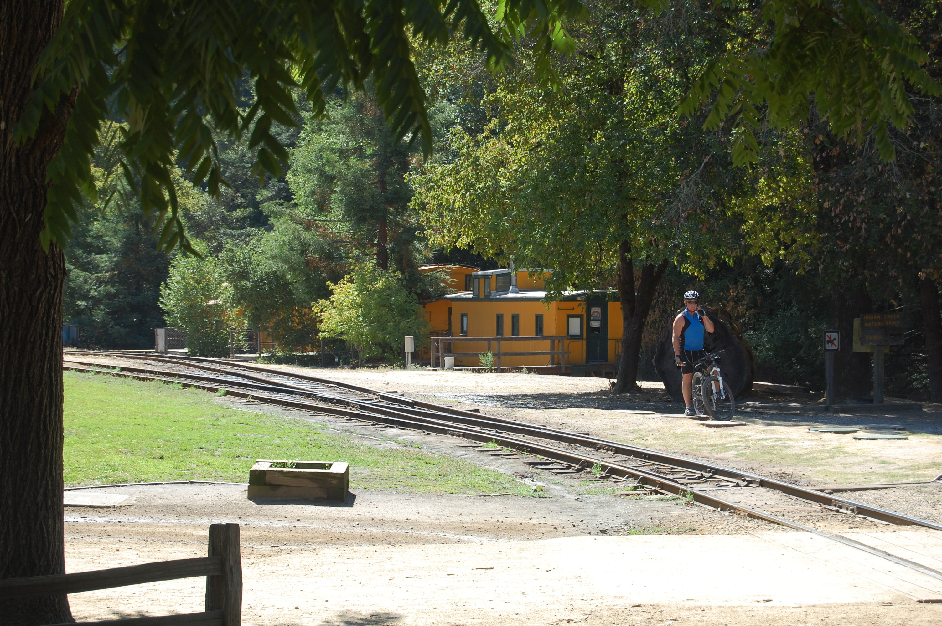 Roaring Camp Railroad, CA