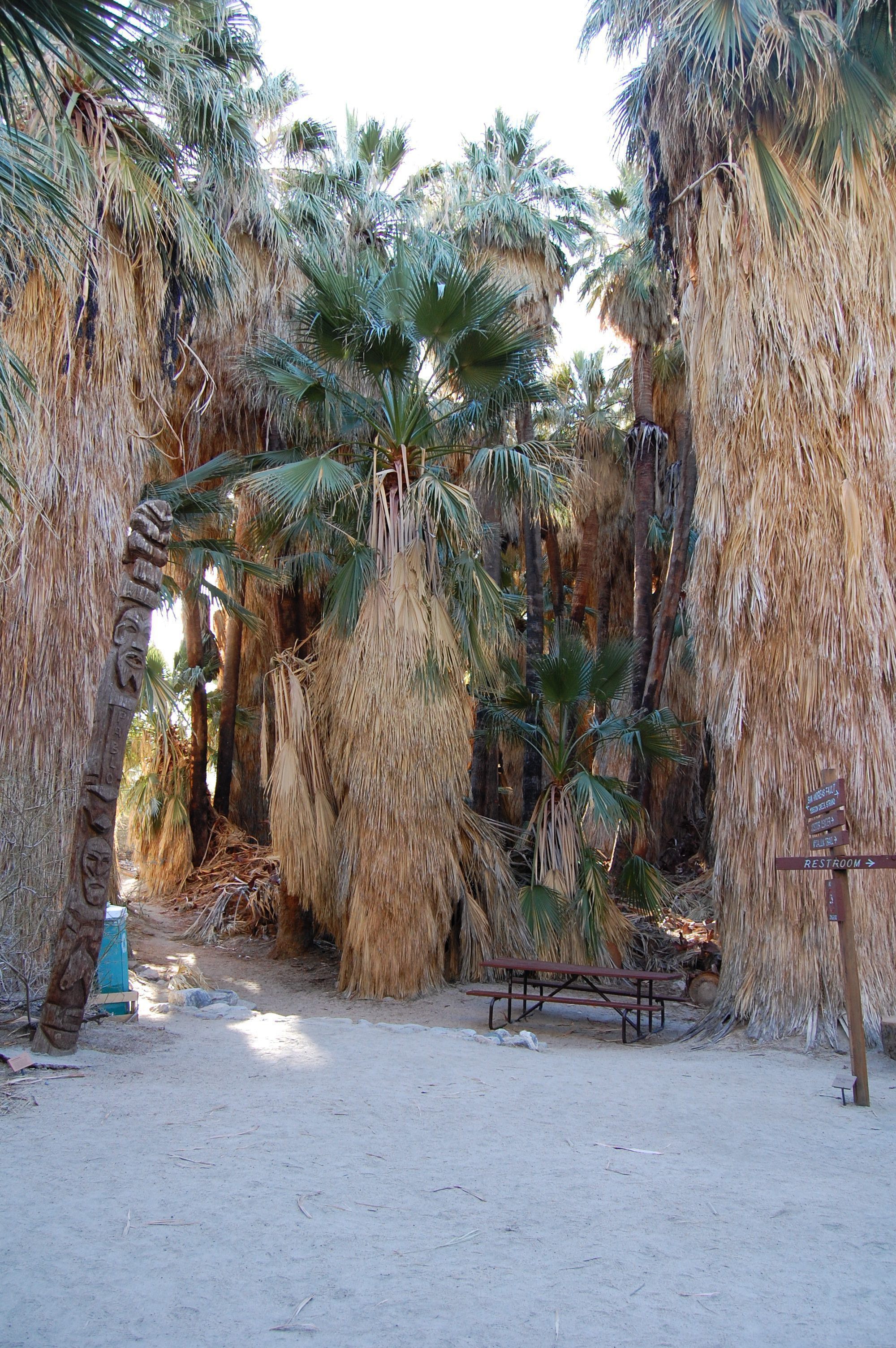 Thousand Palms Oasis