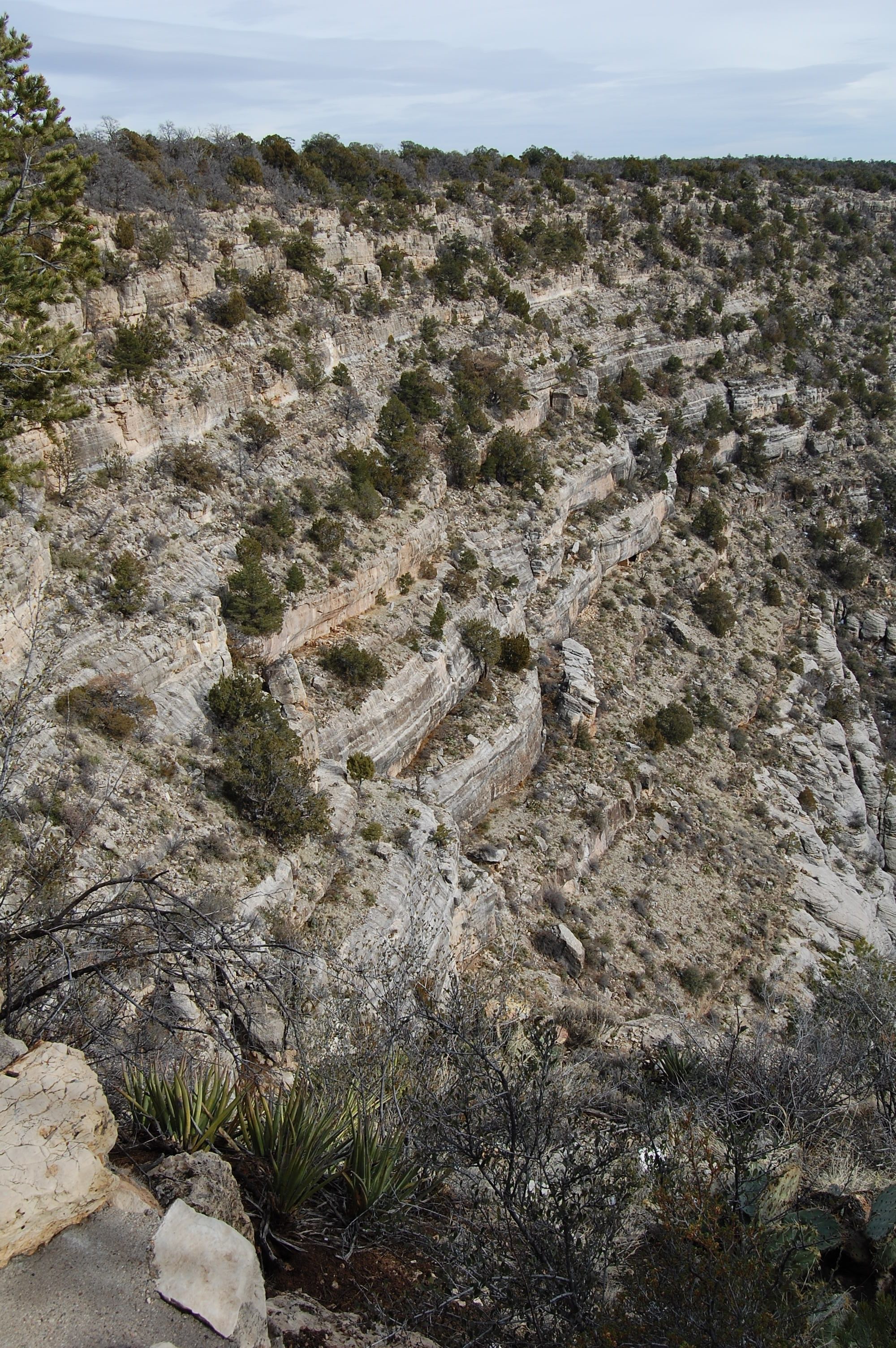 Walnut Creek, Arizona